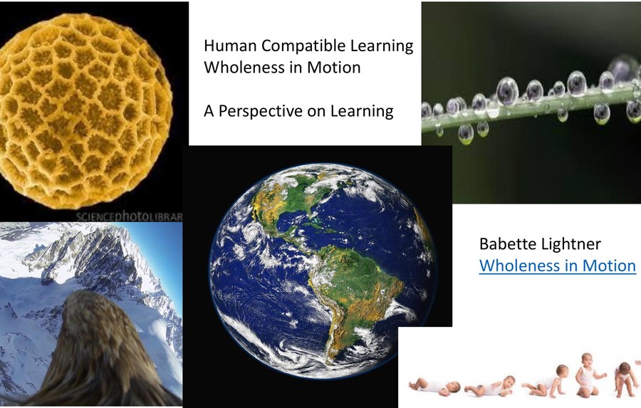 The Principles of Human Compatible Learning workshop with Babette Lightner